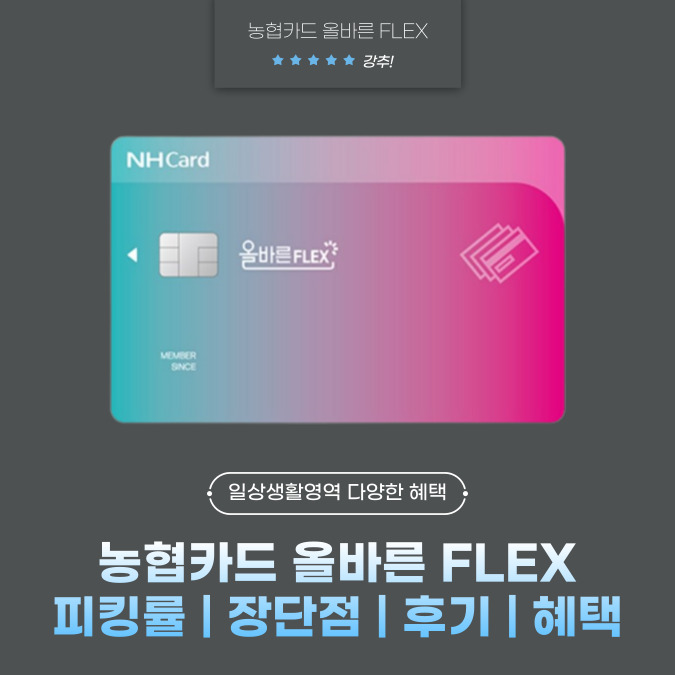 농협카드 올바른 FLEX(플렉스) 피킹률 | 장단점 | 후기 | 혜택